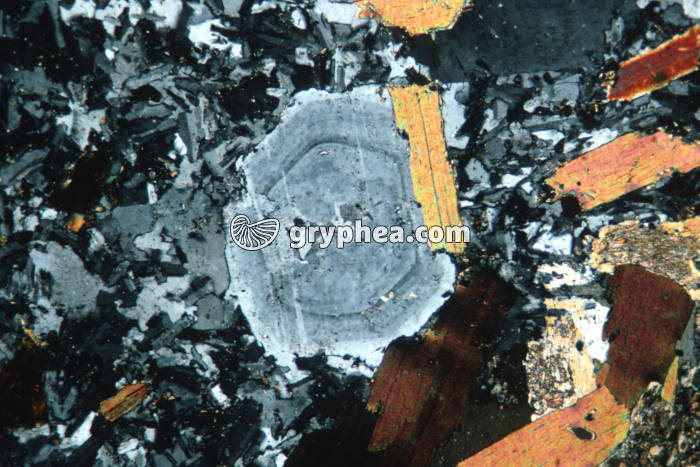 Microgranite LPA x10 - gryphea.com